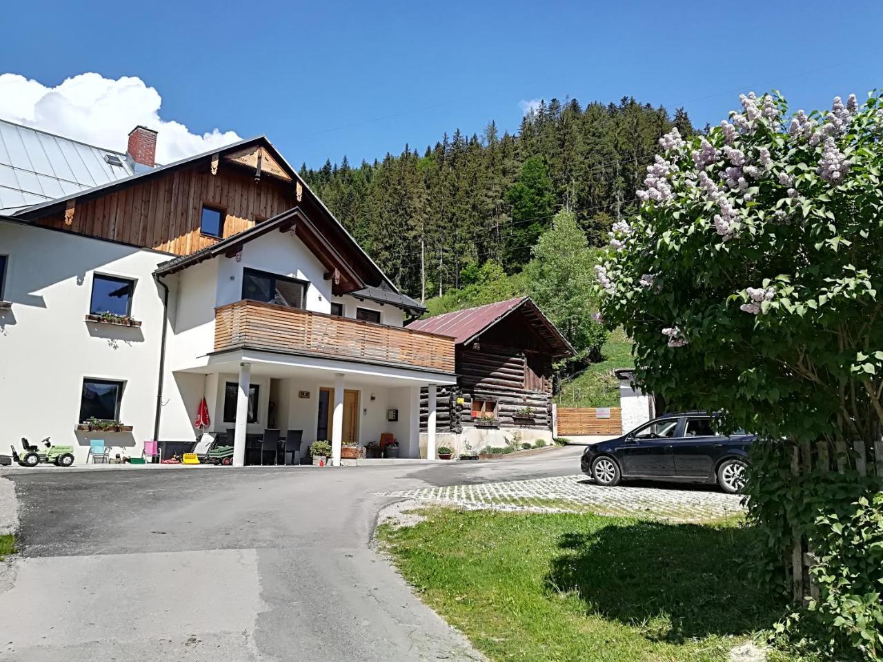 Appartement Grosswallner Radstadt Εξωτερικό φωτογραφία